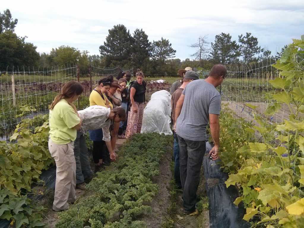 Just Food recrute des étudiants