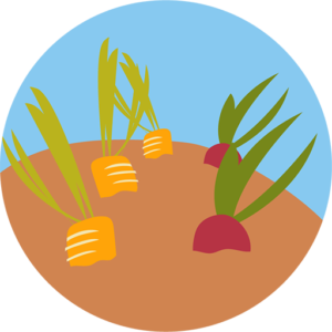 Jardins Plant-a-Row Donate-a-Row